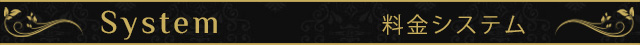「System Title」